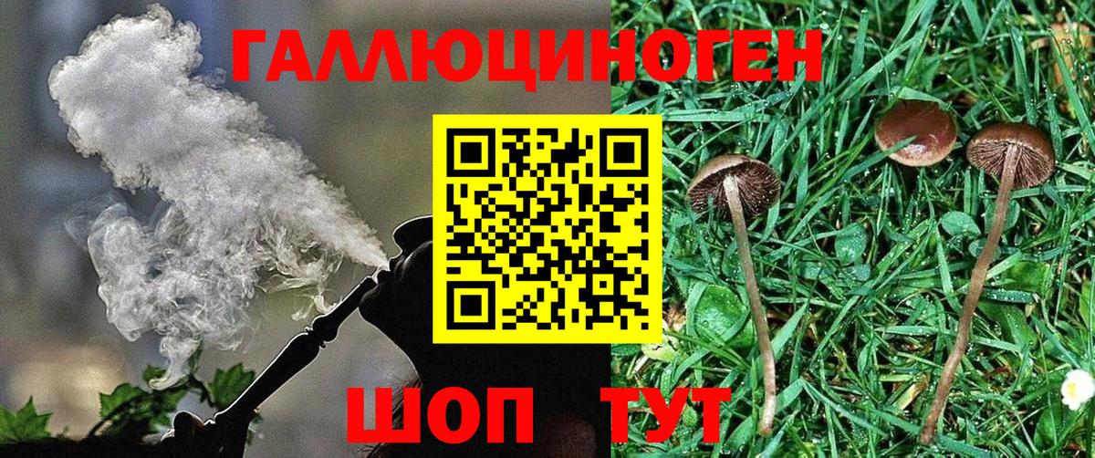 Галлюциногенные грибы прущие грибы  Вход с VPN  Галлюциногенные грибы Cubensis  сколько стоит  Владивосток 